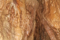20261025_122654