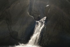 IMG_20260804_1157158042