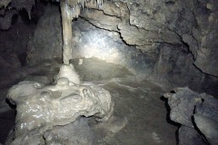 IMG_20250329_140150
