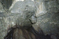 IMG_20250329_143634
