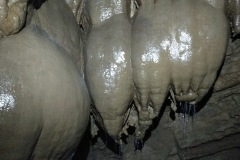 IMG_20250329_150423