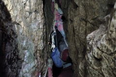 IMG_20250330_120343