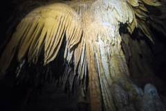 IMG_20250419_132610_204